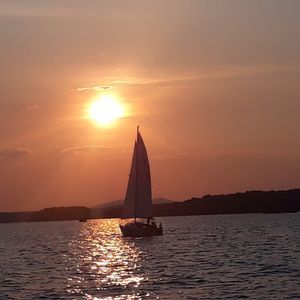 Meet your Posher, Bobby